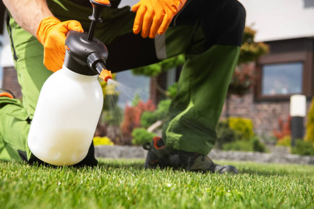 Best Pest Control Treatment  in Lannon, WI