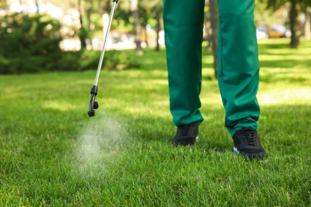 Best Emergency Pest Control  in Lannon, WI