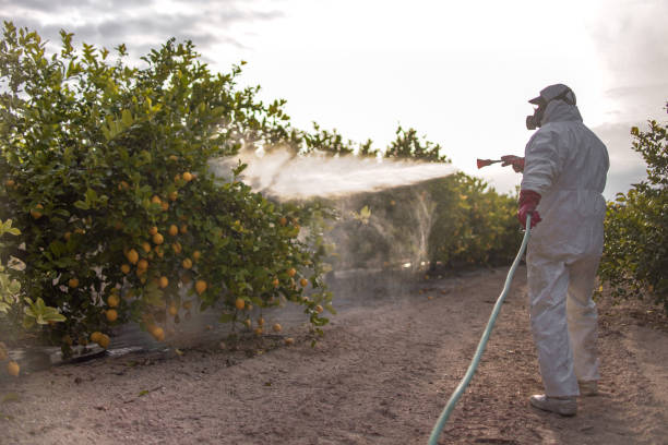 Best Flea Control Services  in Lannon, WI