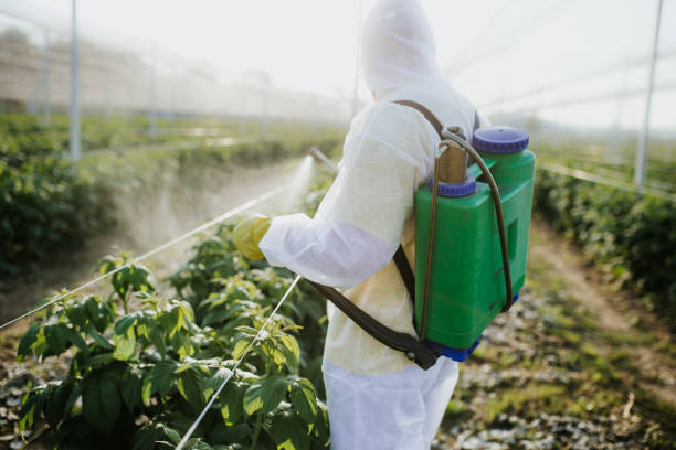 Best Affordable Pest Control Services  in Lannon, WI